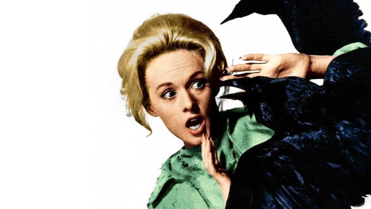 Poster of the movie